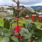 Eiras Do Dao