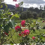 假日公园 Eiras Do Dao