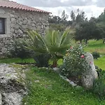 Eiras Do Dao