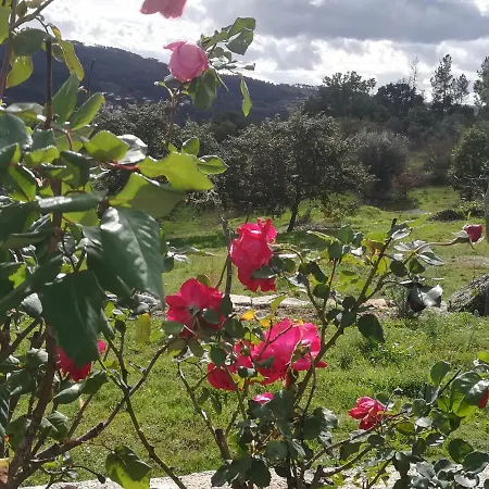 Πάρκο διακοπών Eiras Do Dao