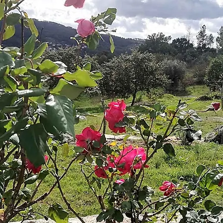 Πάρκο διακοπών Eiras Do Dao Penalva do Castelo