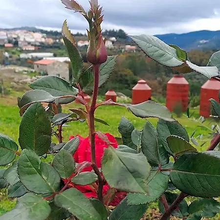 Eiras Do Dao Πάρκο διακοπών