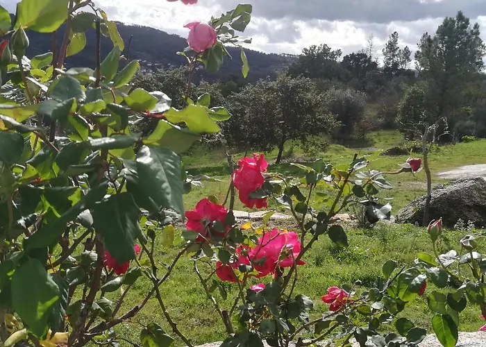 Aldeamento Turístico Eiras Do Dão