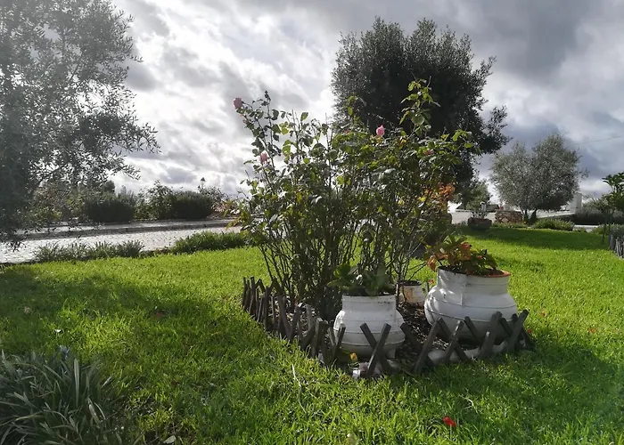 Eiras Do Dão Aldeamento Turístico *