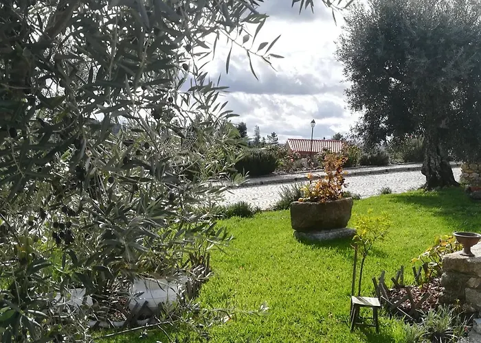 ホリデーパーク Eiras Do Dao ペナルヴァ・ド・カステロ